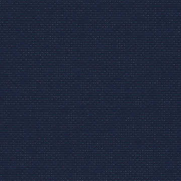 Navy (589)