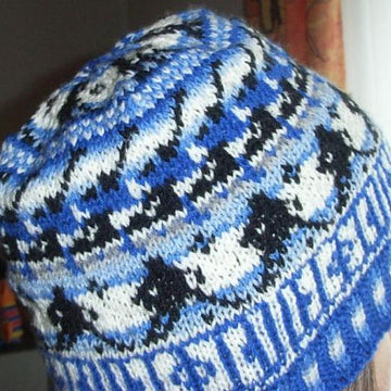 Ice hockey beanie