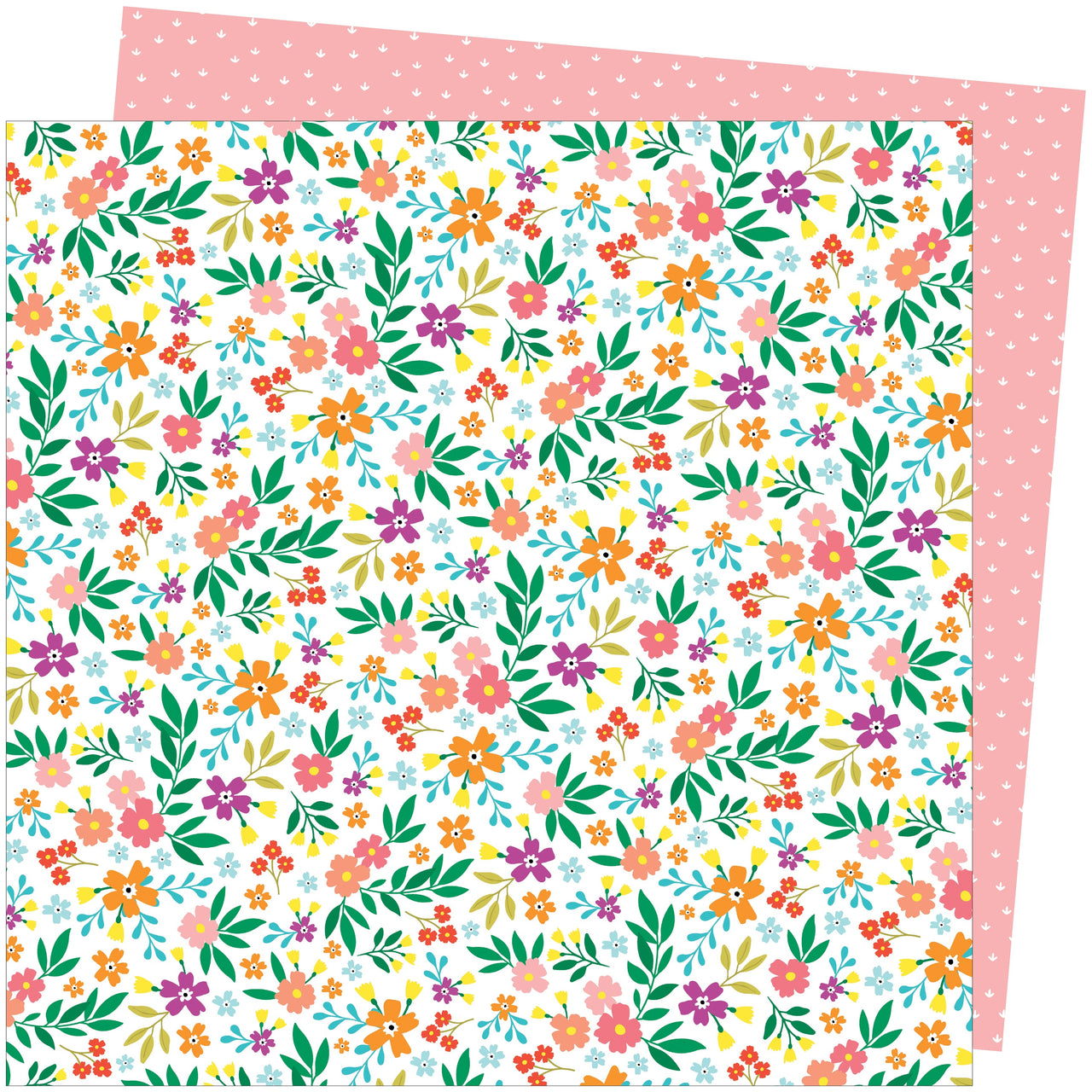 American Crafts Amy Tan Picnic In The Park Double-Sided Cardstock 12"X12" 25/Pkg - Petaluma Petunia