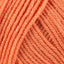 Tangerine (28)