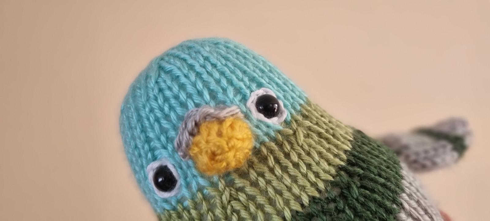 Chunky Pigeon