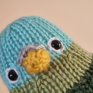 Chunky Pigeon