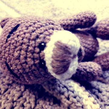 Pocket Bear