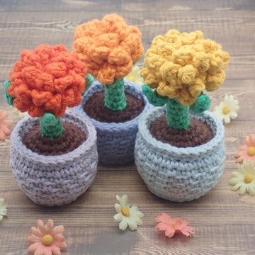Daisy & Marigold in a Flower Pot