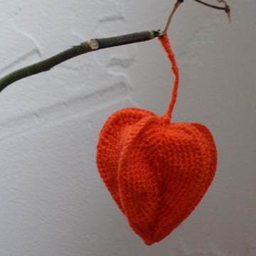 Physalis Plant (Chinese Lantern)