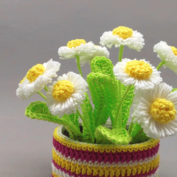 Daisies flower decoration