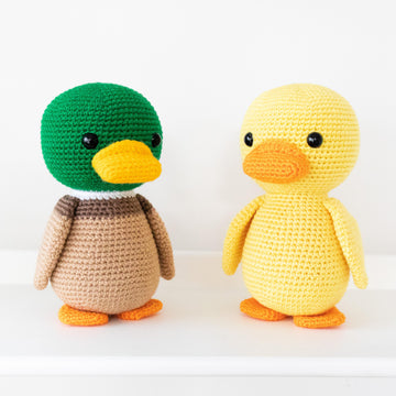 Phoenix the Lovely Duck