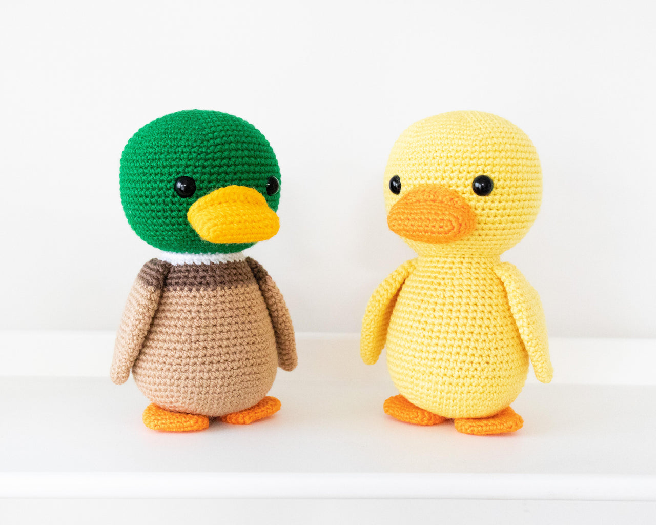 Phoenix the Lovely Duck