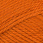 Burnt Orange (25)