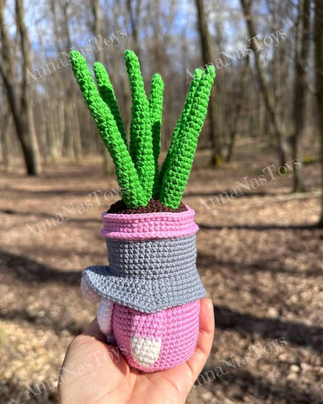 Gnome succulent_sansevieria 3