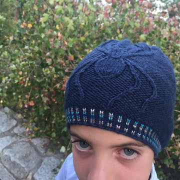 Genus Araneus (Spider) Hat