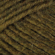 Lichen (14)