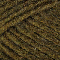 Lichen (14)