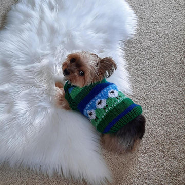 Feeling Sheepish