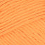 Orange Juice (106)