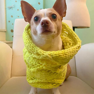 The Big Zag Cowls