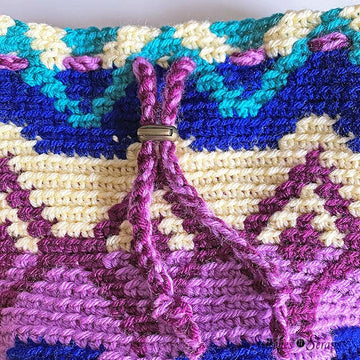 Tapestry Crochet Project Bag