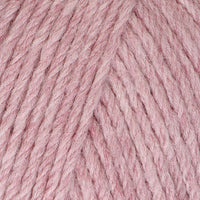 Tea Rose (95106)