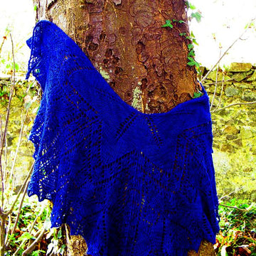 Lady of the blue forest