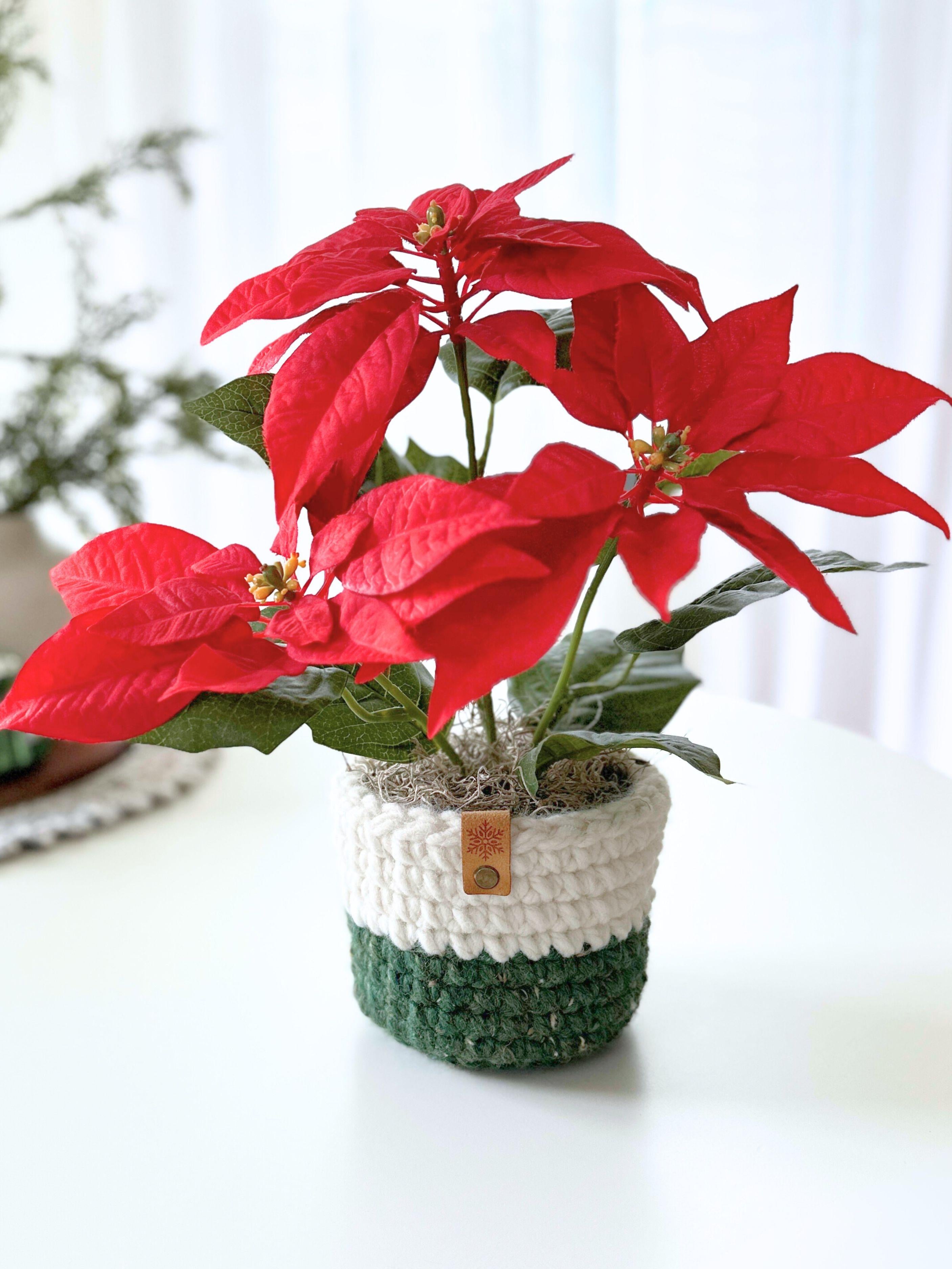 Chunky Planter Sweaters 053