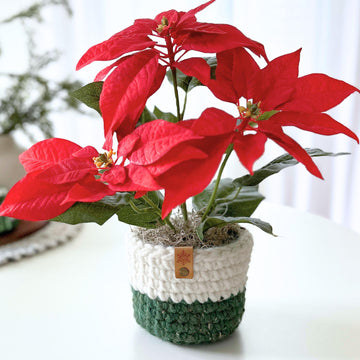 Chunky Planter Sweaters 053