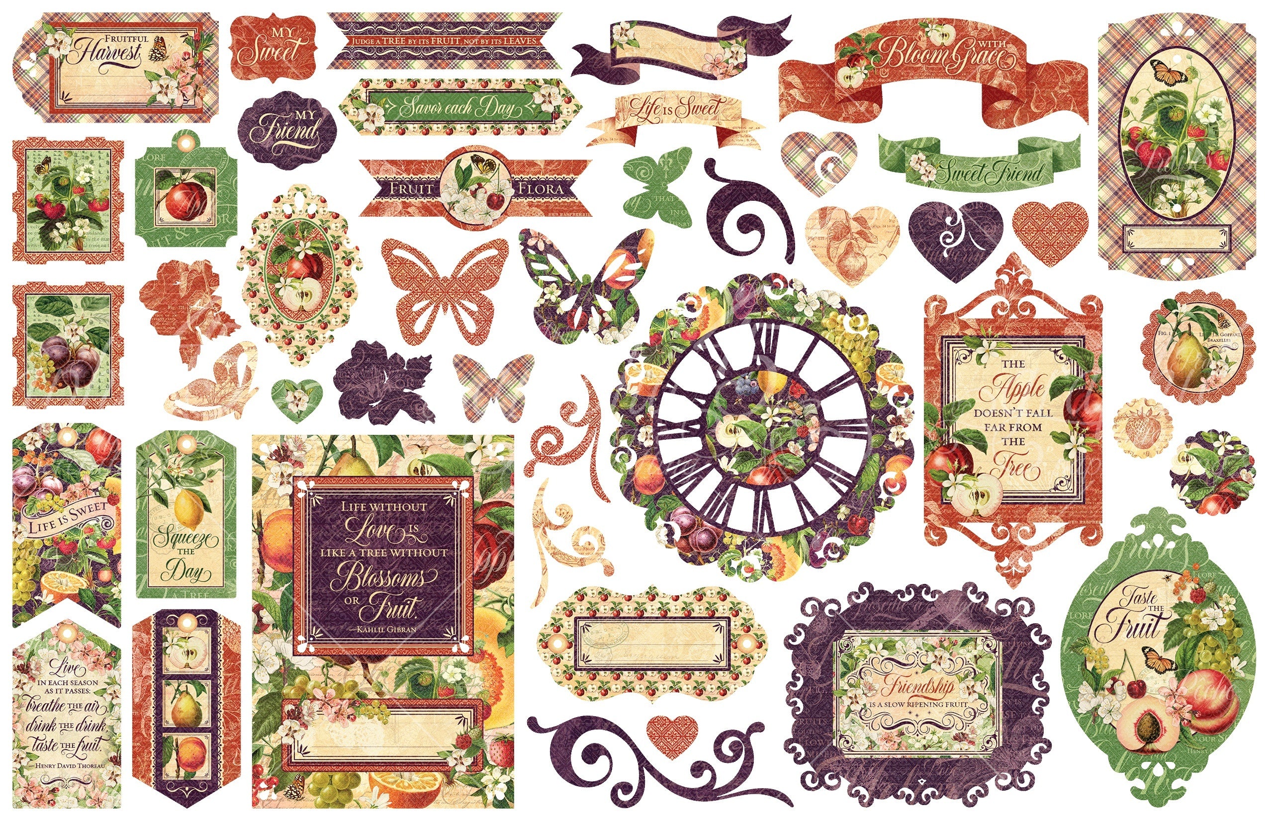 Graphic 45 Fruit & Flora Cardstock Die-Cut Assortment - 621776