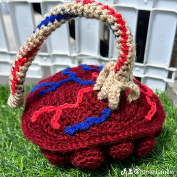 Anatomical Placenta