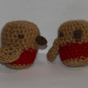 Robin Rattle Cover
