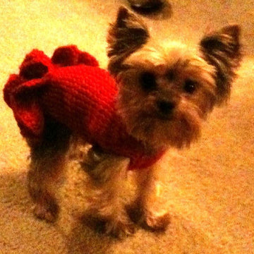 Sofie's Tiny Dog Knit "Party Dress"