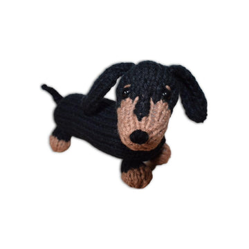 Dachshund Puppy
