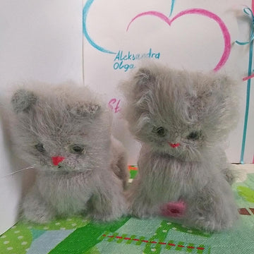 Gray Cat