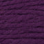 Dark Plum (8885)
