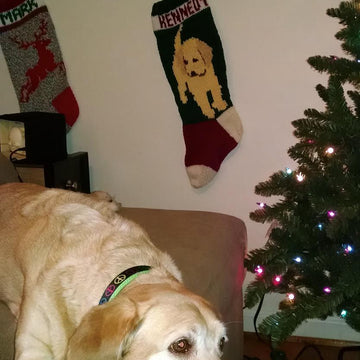 Puppy Dog Stocking
