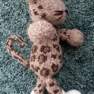 Leopard - African or Snow