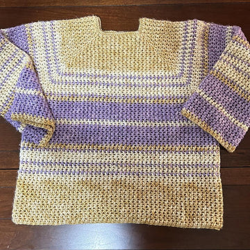 Ezmerelda Raglan Pullover