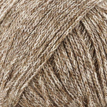 Bark (6)