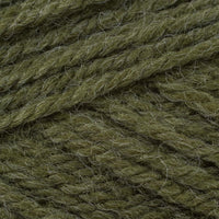 Moss (3370)