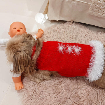 Santa dog coat