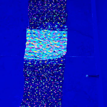 Through the Galaxy Wrap