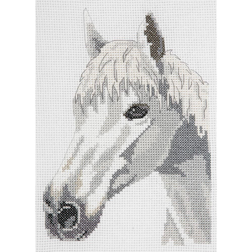 Anchor Starter: White Beauty Cross Stitch Kit