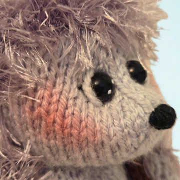 Homeward Bound Hedgehog Choc Orange Cosy