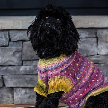 Doggie Dottie
