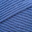 Cornflower (9726)