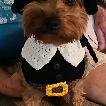 Pilgrim Pet Bandana and Hat