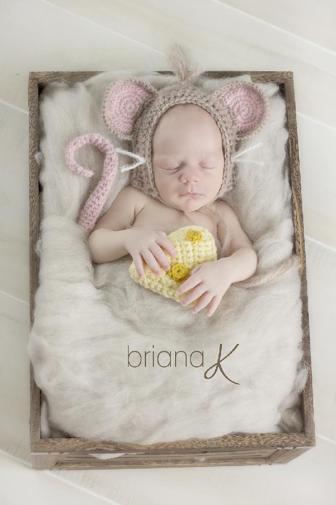 Littlest Mouse