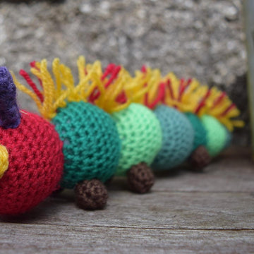 A Hungry, Hairy Caterpillar