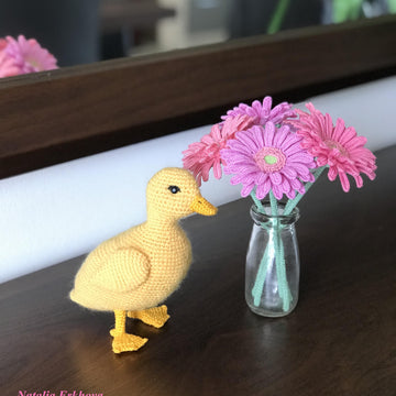 Gerbera