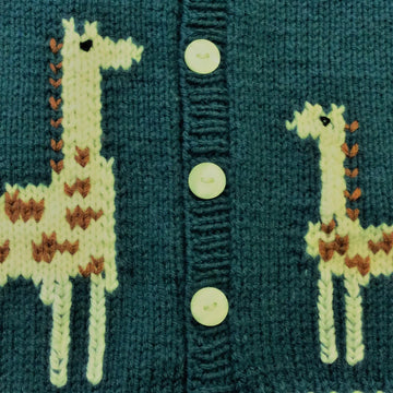Giraffe Cardigan in Schachenmayr Bravo DK