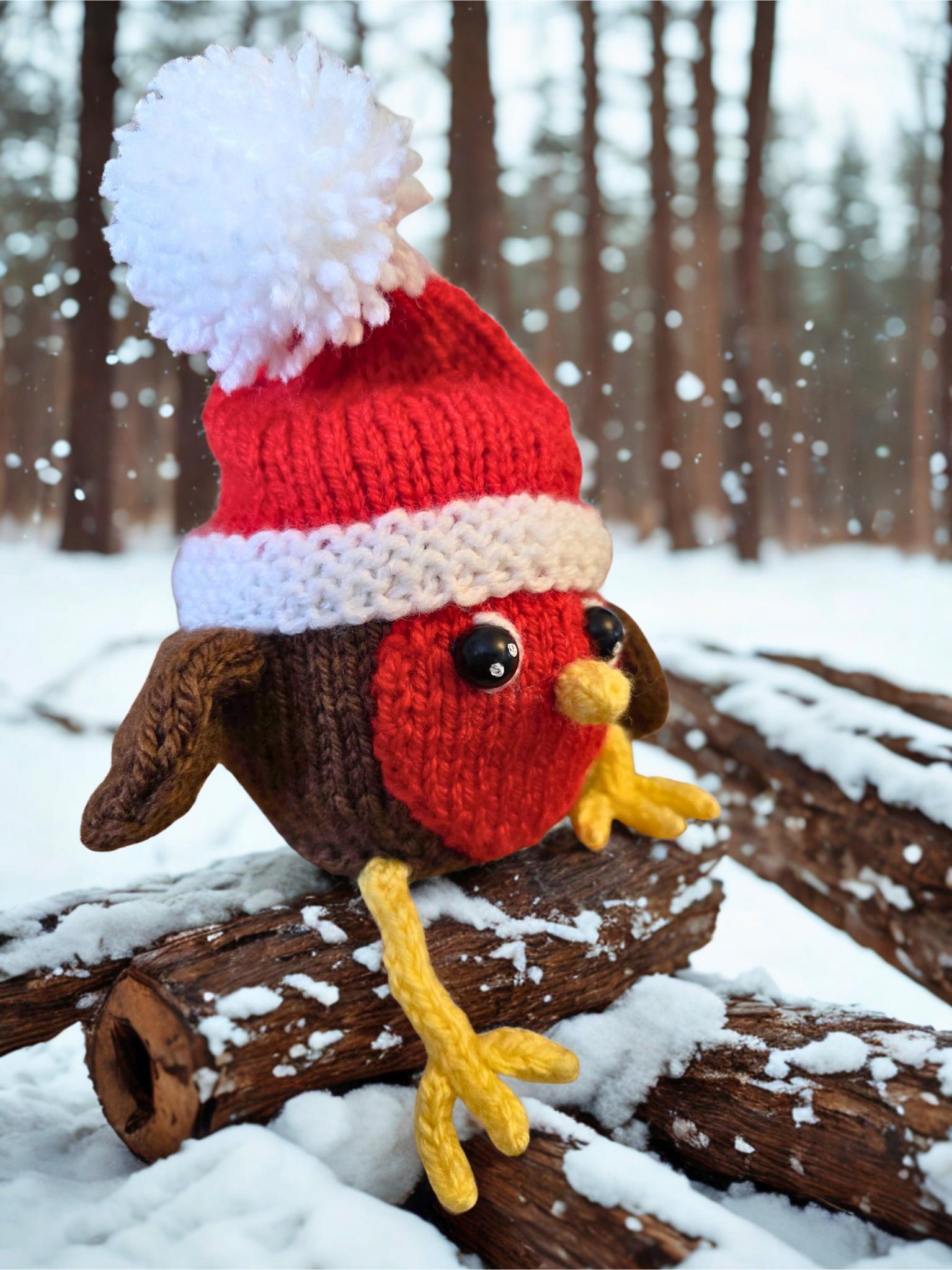 Robin - Chocolate Orange Cosy