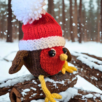 Robin - Chocolate Orange Cosy
